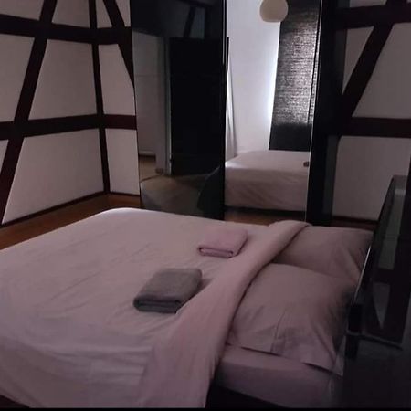Spacious Appartement Colmar 2 المظهر الخارجي الصورة