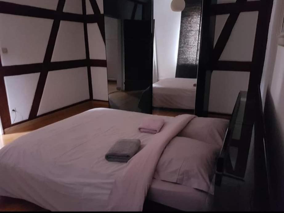 Spacious Appartement Colmar 2 المظهر الخارجي الصورة